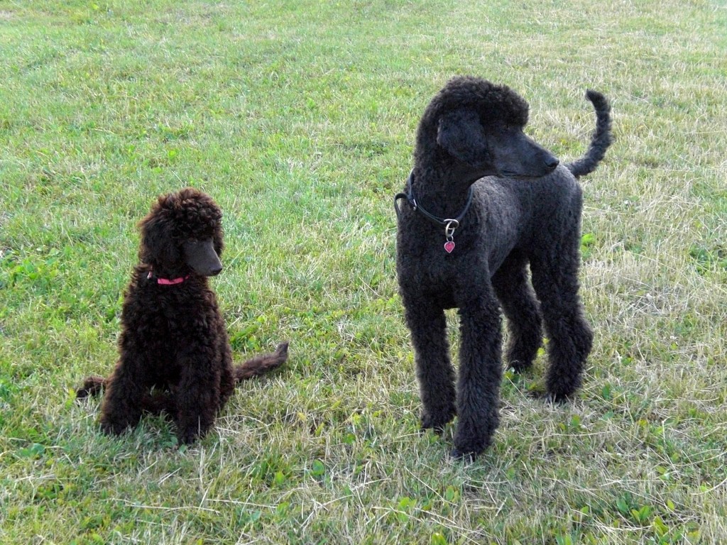 Begge sider må skjekkes