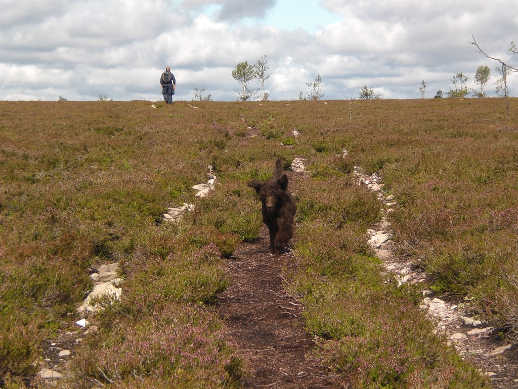 Sara på sin første fjelltur