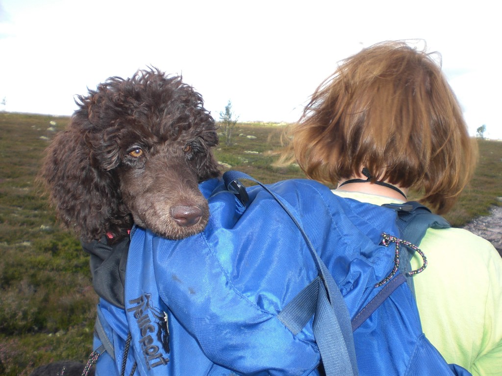 Fjellturen ble litt lang :-)