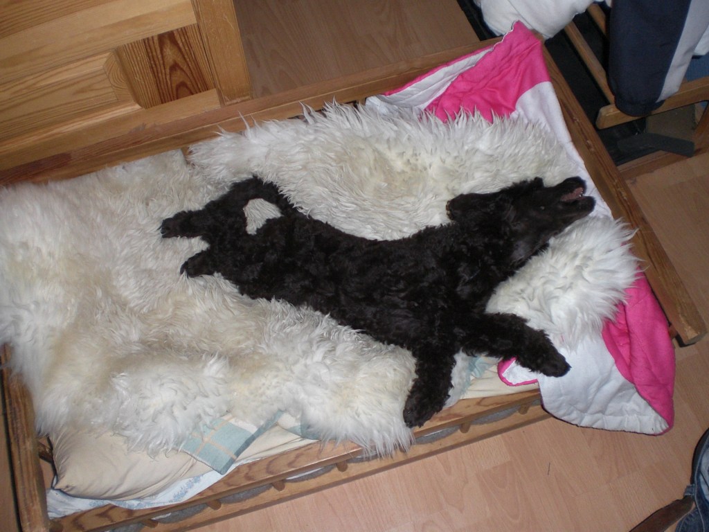 Godt å strekke seg ut. God plass i sengen (til Ayla)