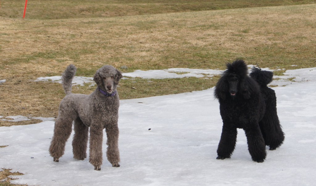 Sara sammen med datteren Katie, Tatt for ca. 2 uker siden