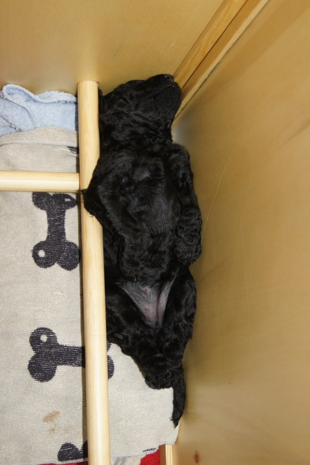 Da var det på tide å fjerne avviserne :-)