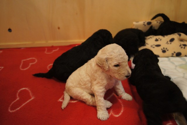 Nå har vi begynnt å sitte 