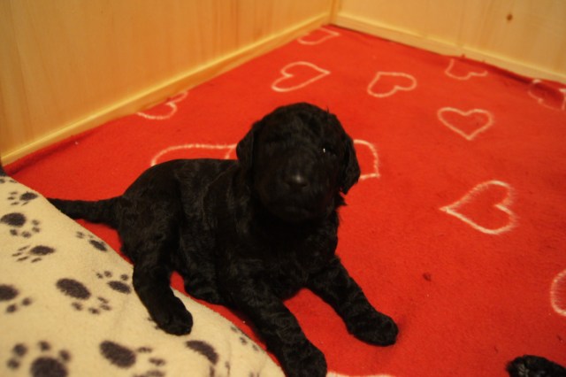 Begynner å oppdage at det finnes andre enn mor her i verden :-)